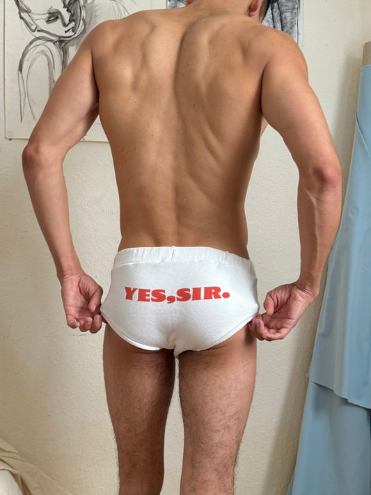 "YES, SIR." CRUISER BRIEFS