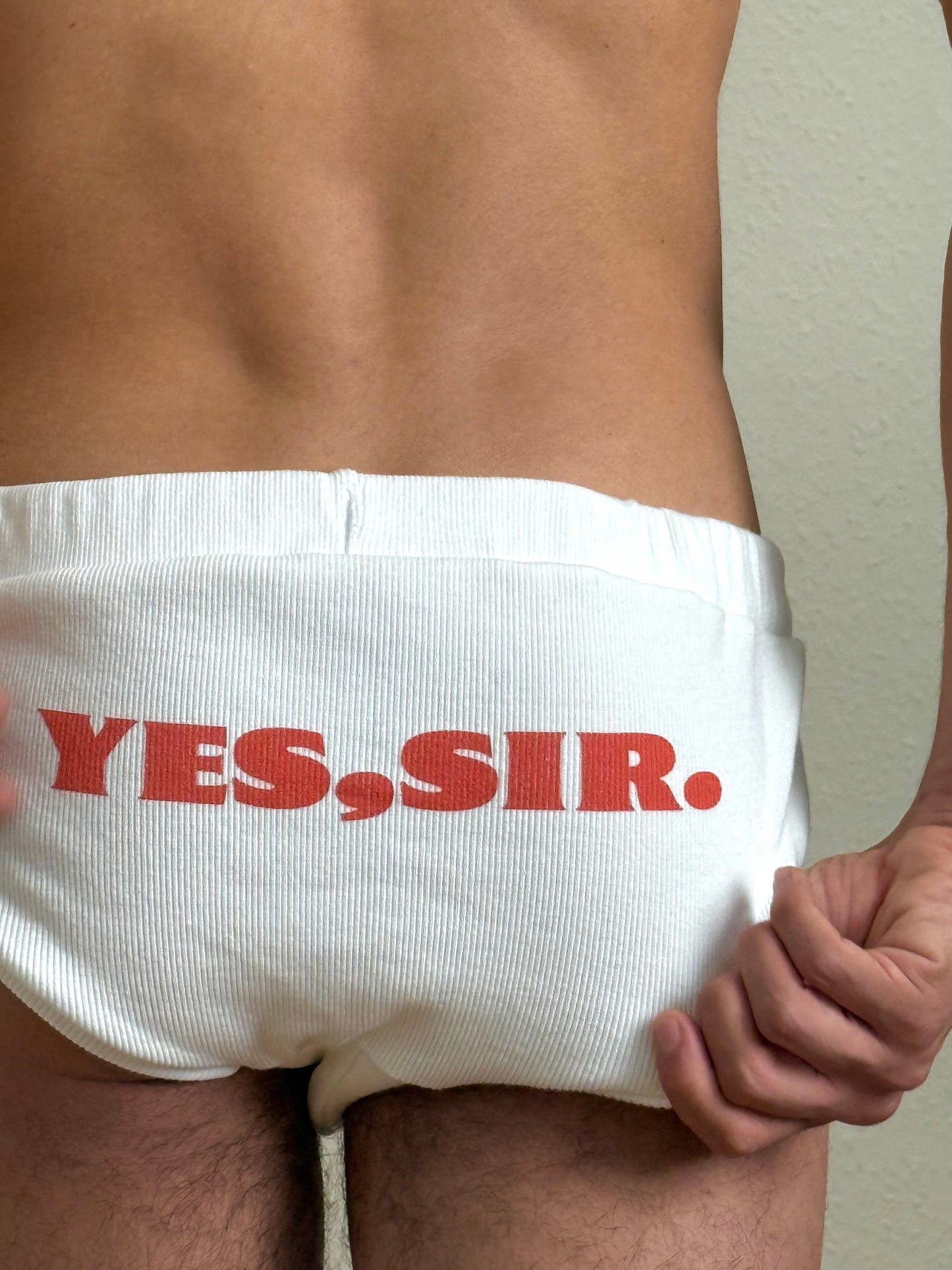 "YES, SIR." CRUISER BRIEFS