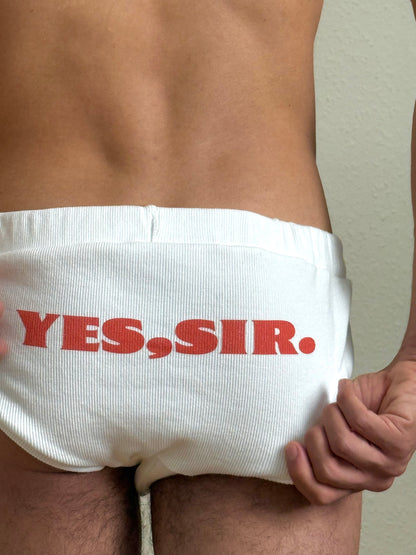 "YES, SIR." CRUISER BRIEFS